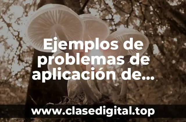 Ejemplos de problemas de aplicación de máximos y mínimos