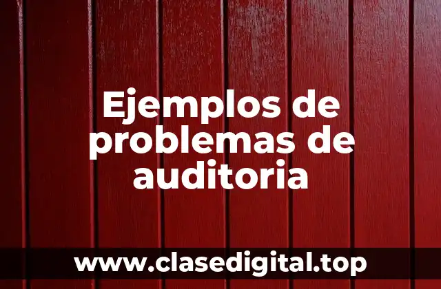 Ejemplos de problemas de auditoria
