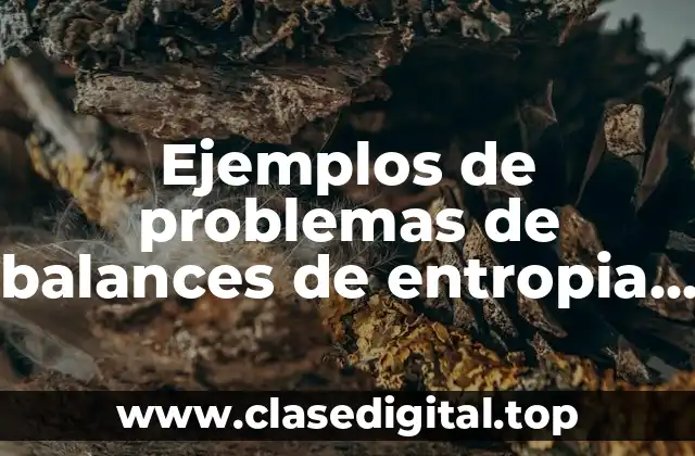 Ejemplos de problemas de balances de entropia en sistemas termodinámicos