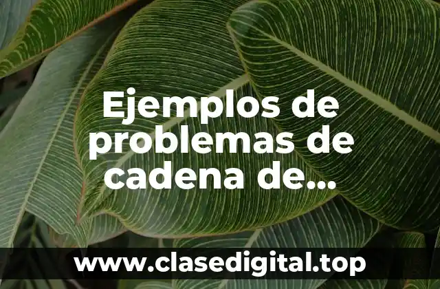 Ejemplos de problemas de cadena de suministro