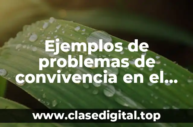 Ejemplos de problemas de convivencia en el aula