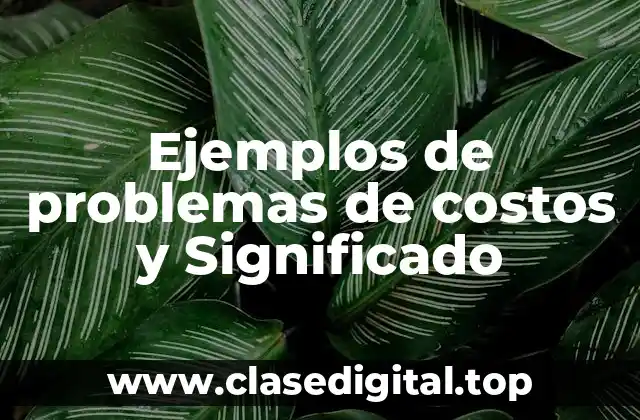 Ejemplos de problemas de costos