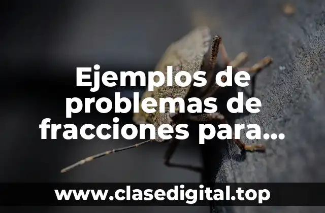 Ejemplos de problemas de fracciones para quinto de primaria