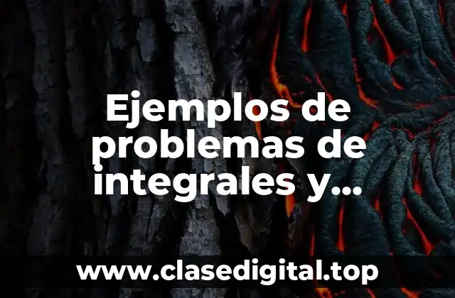 Ejemplos de problemas de integrales y Significado