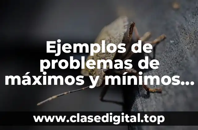 Ejemplos de problemas de máximos y mínimos con figuras geométricas y Significado