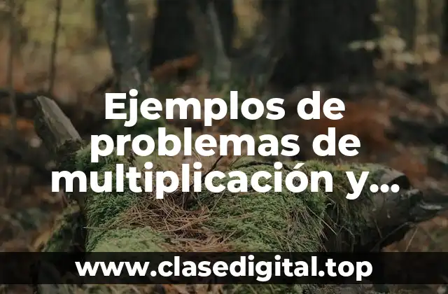 Ejemplos de problemas de multiplicación y división de fracciones y Significado