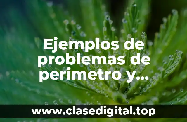 Ejemplos de problemas de perimetro y Significado