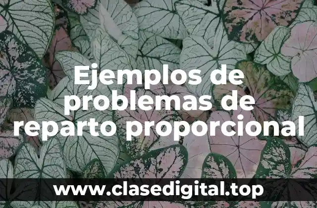 Ejemplos de problemas de reparto proporcional