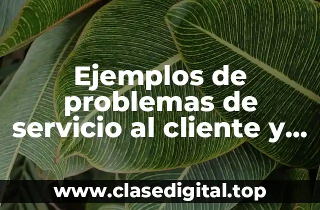 Ejemplos de problemas de servicio al cliente y Significado