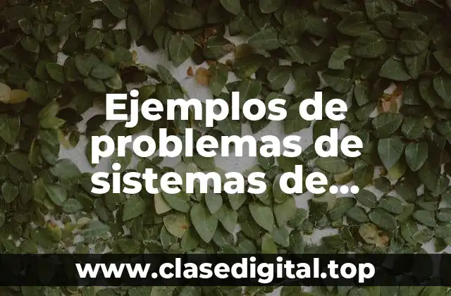 Ejemplos de problemas de sistemas de información