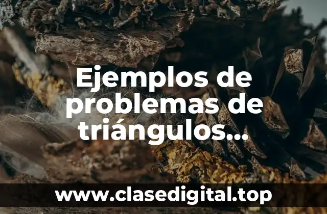 Ejemplos de problemas de triángulos oblicuángulos