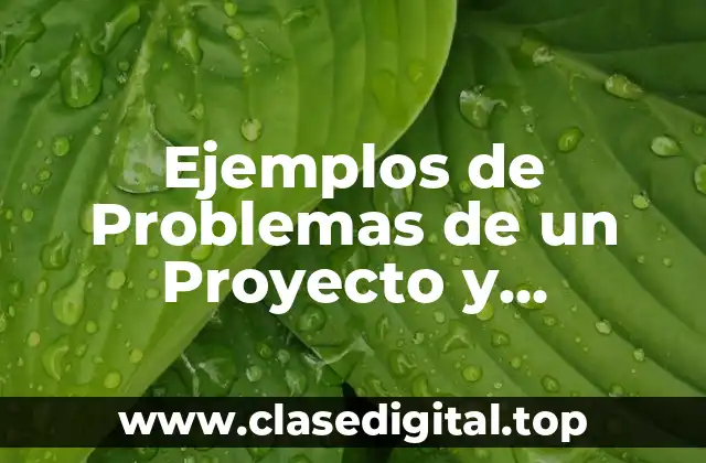 Ejemplos de Problemas de un Proyecto y Significado