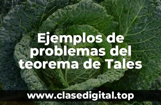 Ejemplos de problemas del teorema de Tales