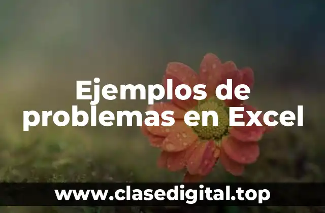 Ejemplos de problemas en Excel