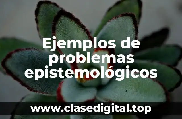 Ejemplos de problemas epistemológicos