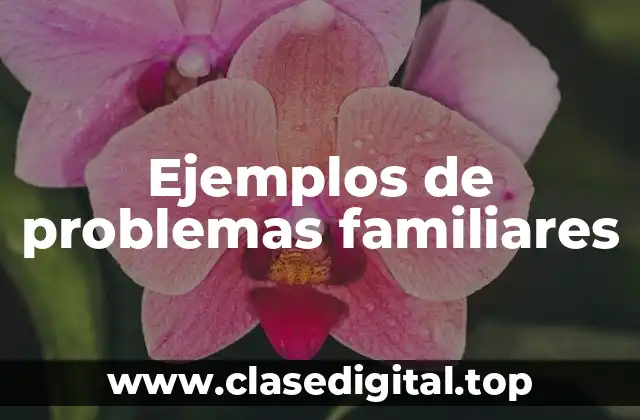 Ejemplos de problemas familiares