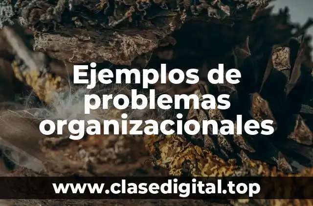 Ejemplos de problemas organizacionales