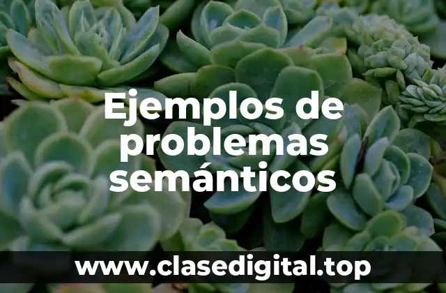 Ejemplos de problemas semánticos