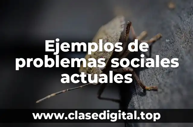 Ejemplos de problemas sociales actuales