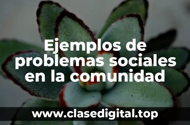 Ejemplos de problemas sociales en la comunidad