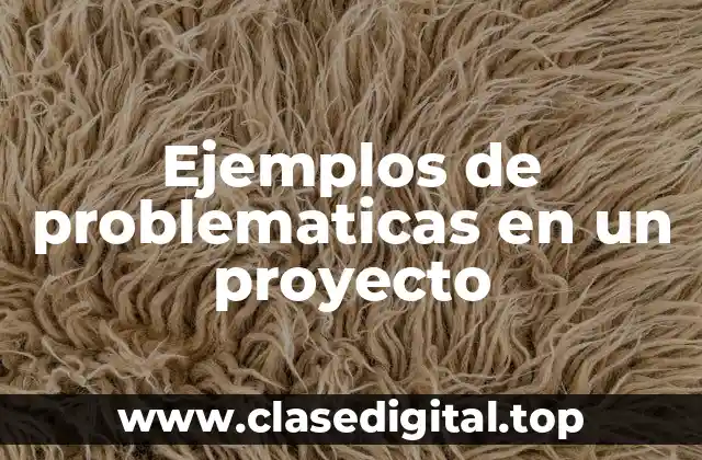 Ejemplos de problematicas en un proyecto