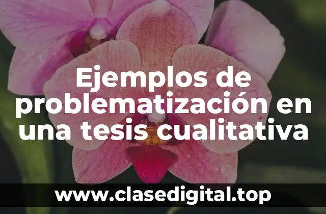 Ejemplos de problematización en una tesis cualitativa