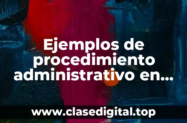 Ejemplos de procedimiento administrativo en materia aduanera y Significado