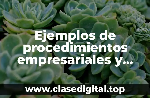 Ejemplos de procedimientos empresariales