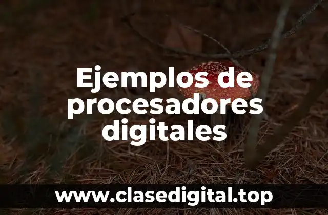 Ejemplos de procesadores digitales