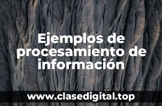 Ejemplos de procesamiento de información