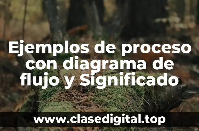Ejemplos de proceso con diagrama de flujo y Significado