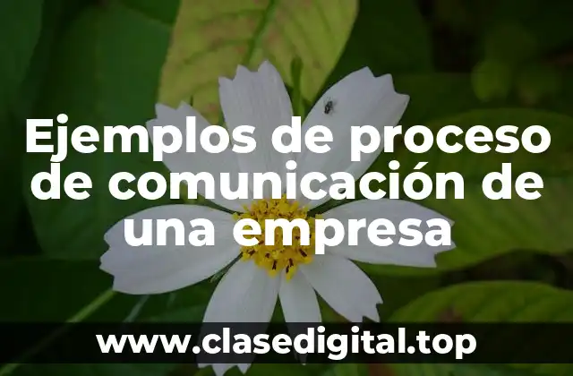 Ejemplos de proceso de comunicación de una empresa