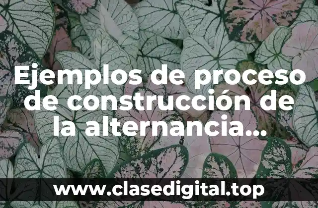 Ejemplos de procesos de construcción de la alternancia política