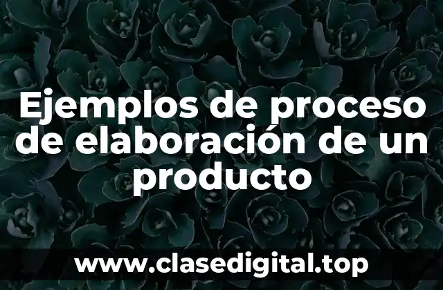 Ejemplos de proceso de elaboración de un producto