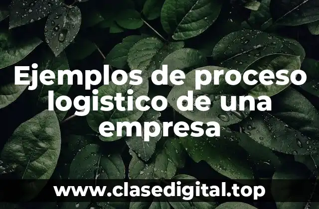 Ejemplos de proceso logistico de una empresa