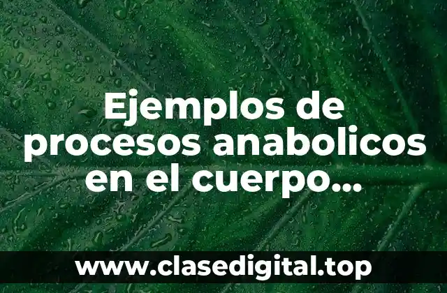 Ejemplos de procesos anabolicos en el cuerpo humano