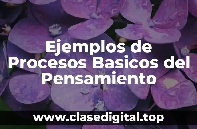 Ejemplos de Procesos Basicos del Pensamiento