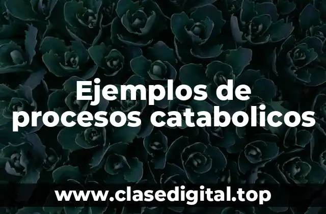 Ejemplos de procesos catabolicos