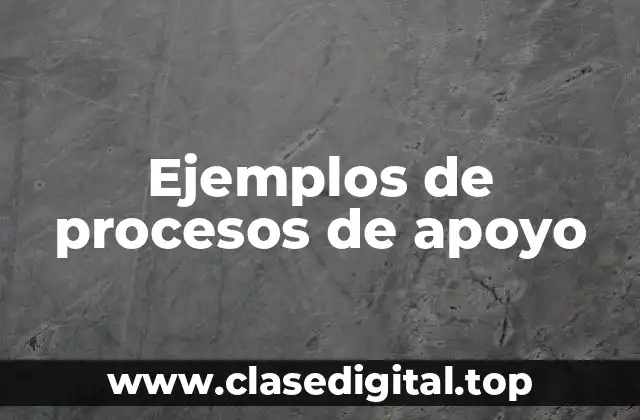 Ejemplos de procesos de apoyo