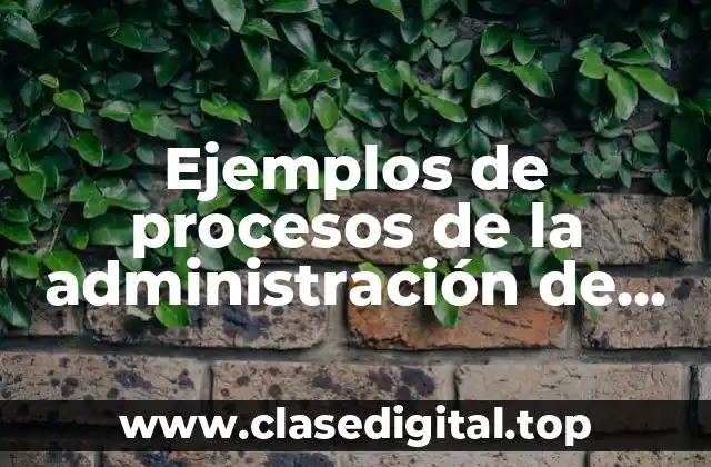 Ejemplos de procesos de la administración de los materiales