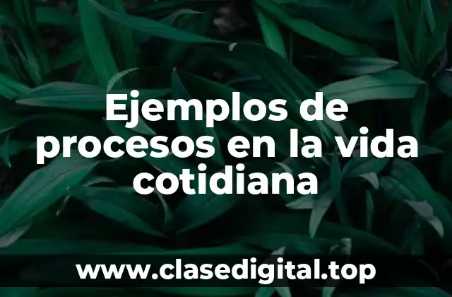 Ejemplos de procesos en la vida cotidiana