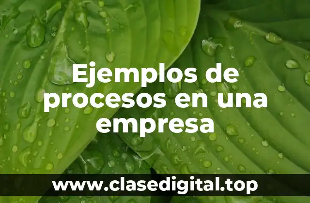 Ejemplos de procesos en una empresa
