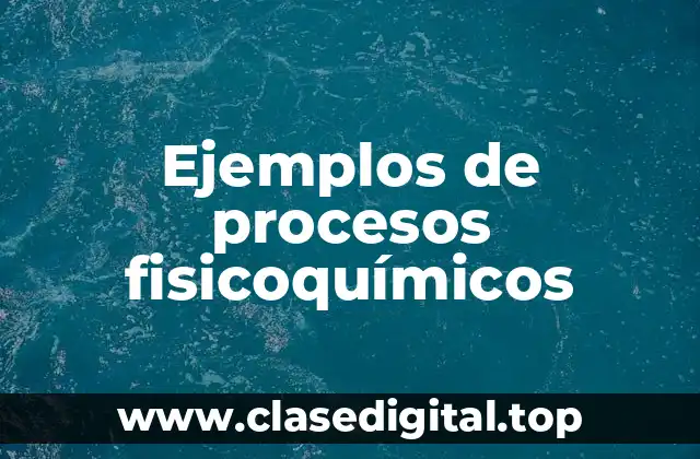 Ejemplos de procesos fisicoquímicos