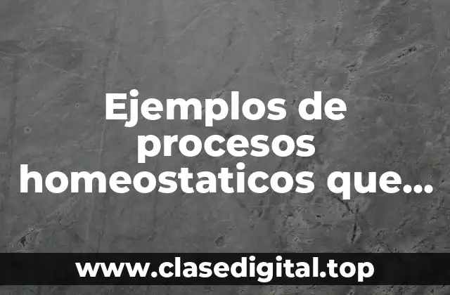 Ejemplos de procesos homeostaticos que efectúa el cuerpo a diario.