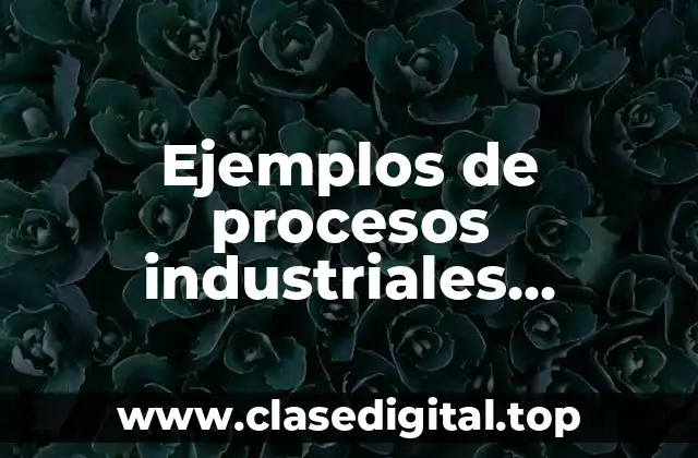 Ejemplos de procesos industriales químicos