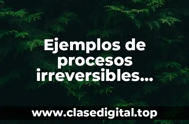 Ejemplos de procesos irreversibles termodinámica