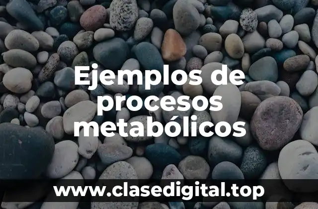 Ejemplos de procesos metabólicos