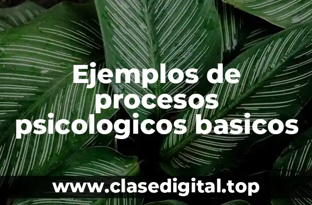 Ejemplos de procesos psicologicos basicos