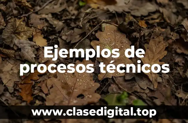 Ejemplos de procesos técnicos