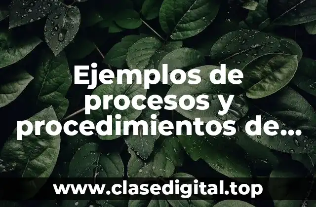 Ejemplos de procesos y procedimientos de una empresa